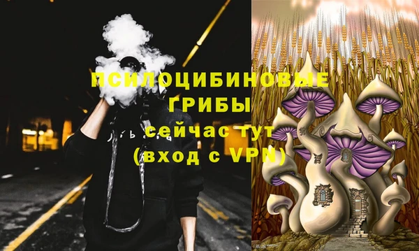 ешки Алексеевка