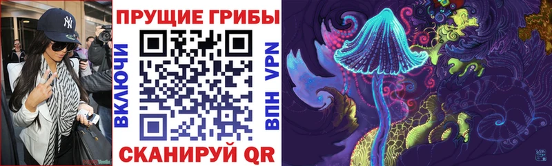 Галлюциногенные грибы Cubensis хочу наркоту Геленджик