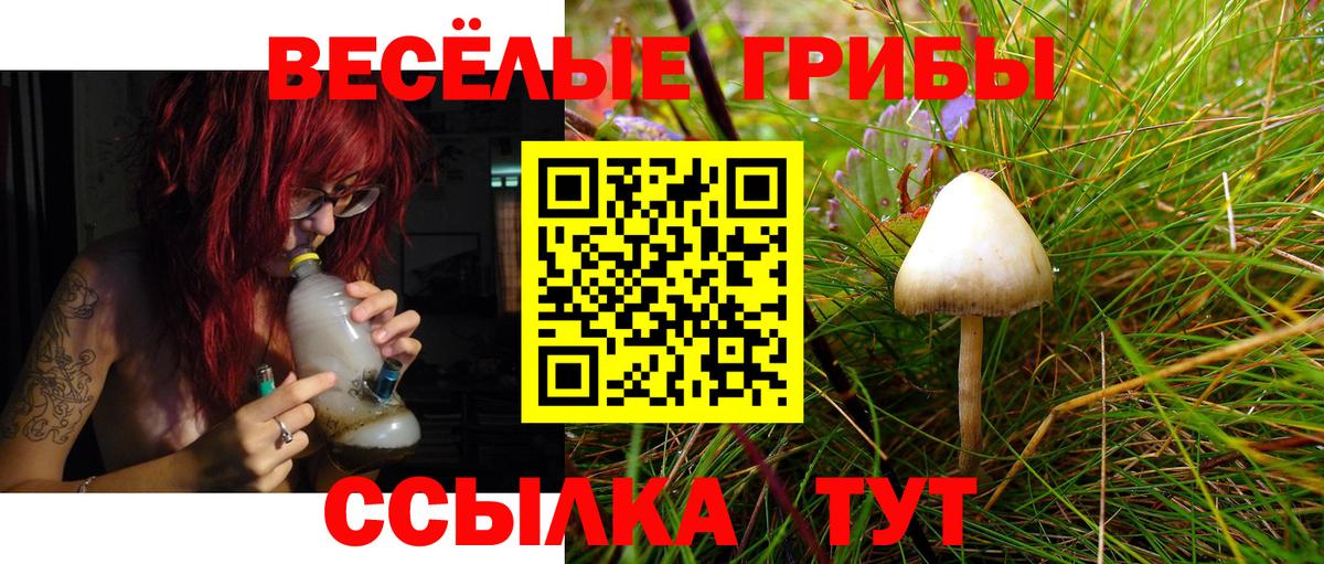 Псилоцибиновые грибы прущие грибы  Вход с VPN  Геленджик 